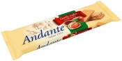 ANDANTE OSTYA